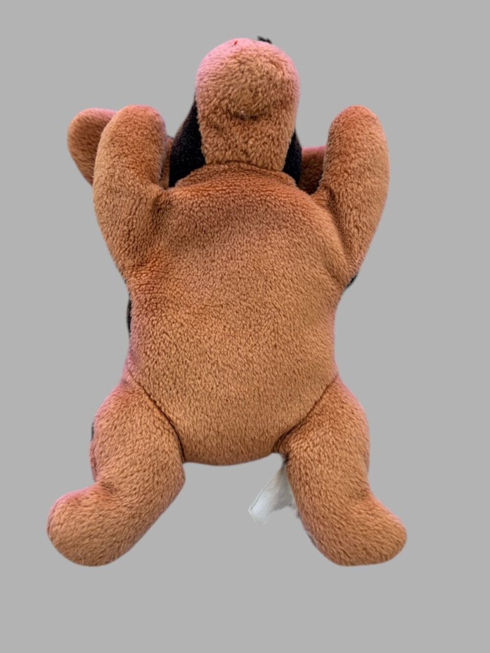 Dan Dee Brown Puppy Dog Plush Pink Paws Floppy Ears Stuffed Animal Soft Toy Love - Picture 6 of 7